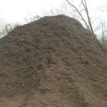 Brown fill dirt